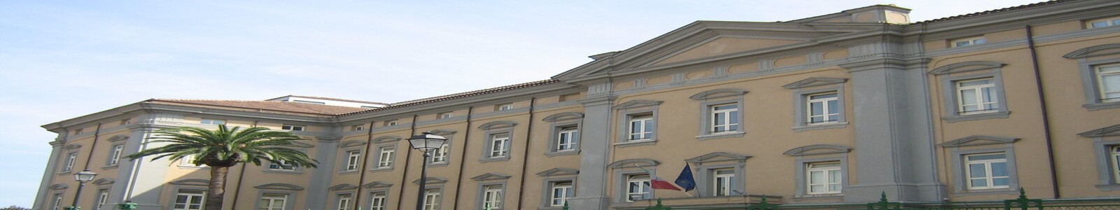 237_14243_d0 (5).jpg